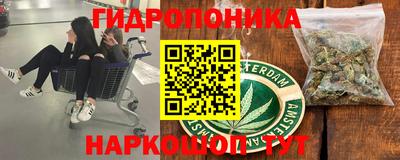 шишки Пугачёв