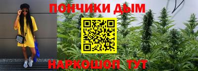 шишки Пугачёв