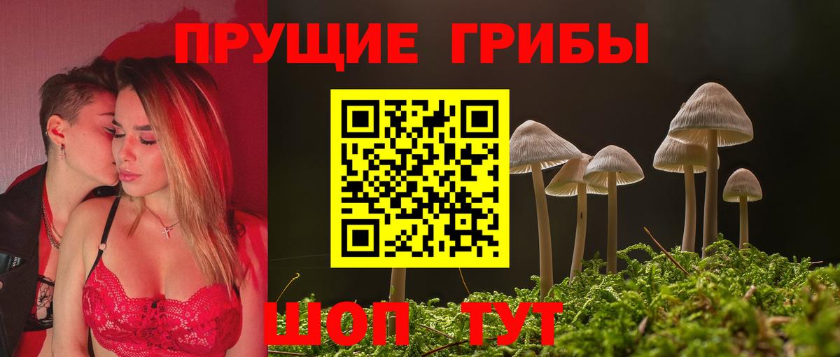 Галлюциногенные грибы GOLDEN TEACHER Павловский Посад